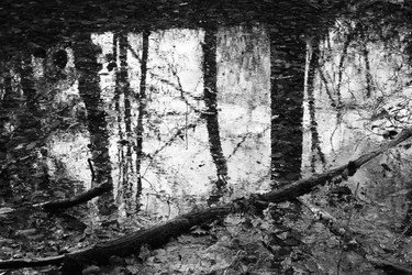 Similar image 8103714