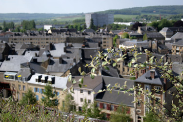 Similar image 8103723