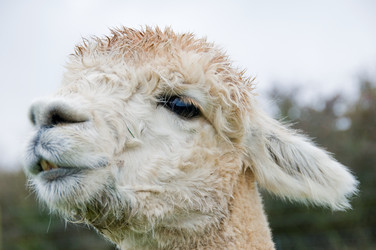 Similar image 8103741