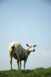 Similar image 8103742