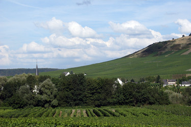 Similar image 8103749