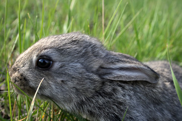 Similar image 8103755