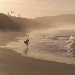 Similar image 8103764