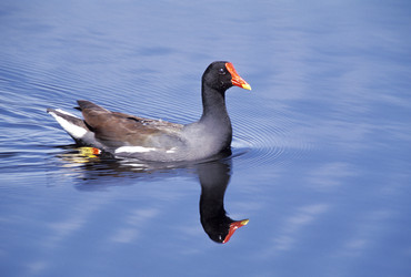 Similar image 8103769