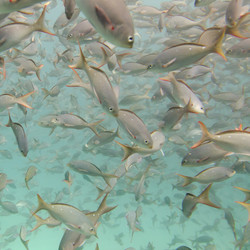 Similar image 8103787