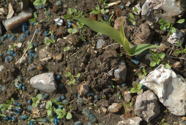 Similar image 8103798