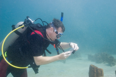 Similar image 8103799