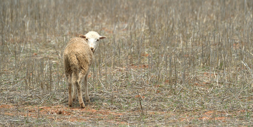 Similar image 8103808