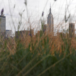 Similar image 8103820