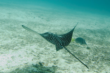 Similar image 8103824