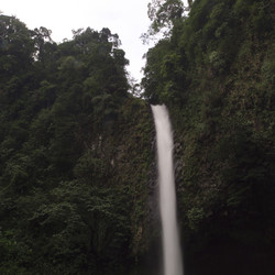 Similar image 8103829