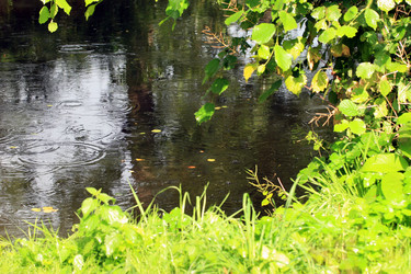 Similar image 8103838