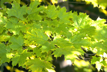 Similar image 8103846