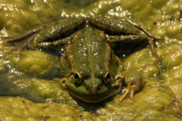 Similar image 8103850