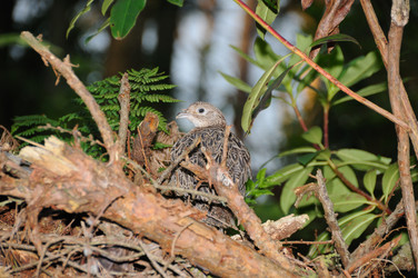 Similar image 8103867