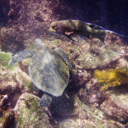 Similar image 8103879