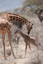 Similar image 8103881