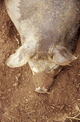 Similar image 8103886