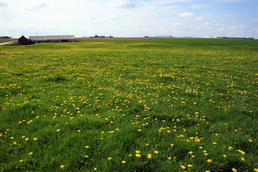 Similar image 8103892