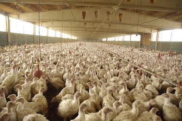 Similar image 8103894