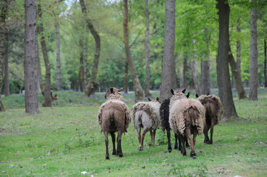 Similar image 8103895