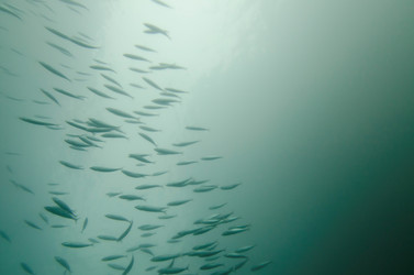 Similar image 8103904