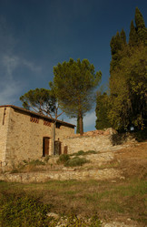 Similar image 8103943