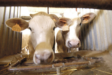 Similar image 8103944