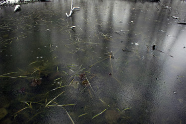 Similar image 8103948