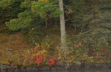 Similar image 8103950