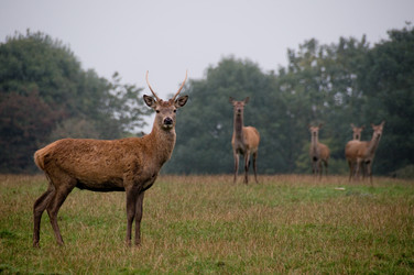 Similar image 8103963