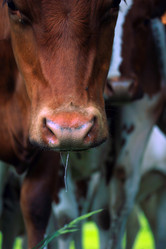 Similar image 8103966