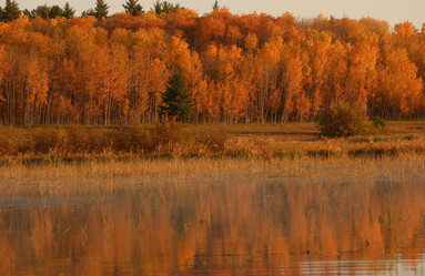 Similar image 8103974