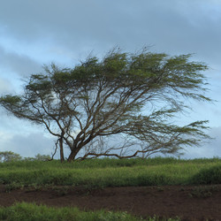 Similar image 8103977