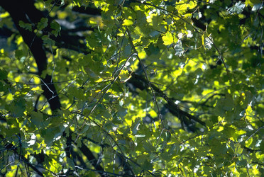 Similar image 8103980