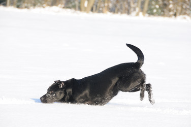 Similar image 8103991