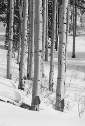 Similar image 8103997