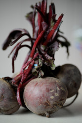 Similar image 8104000