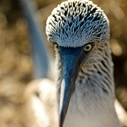 Similar image 8104016