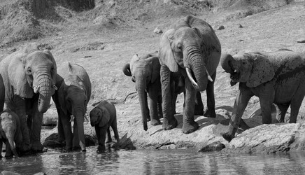 Similar image 8104022