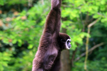 Similar image 8104025