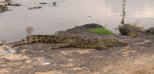 Similar image 8104029