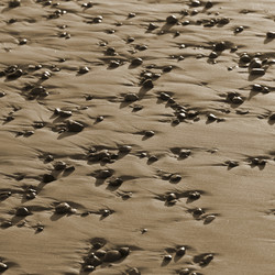 Similar image 8104031