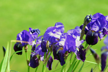 Similar image 8104041