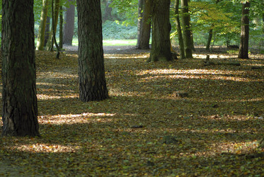 Similar image 8104045