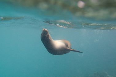 Similar image 8104046