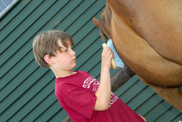 Similar image 8104047