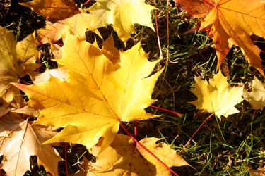 Similar image 8104048