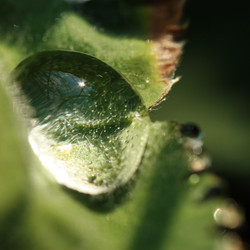 Similar image 8104057