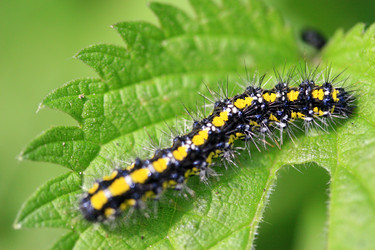 Similar image 8104059